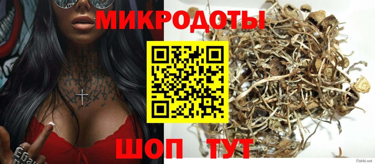 Псилоцибиновые грибы мицелий  купить   Донской  Вход с VPN 